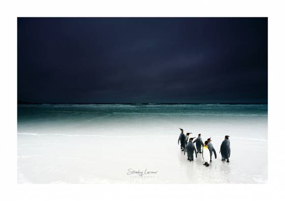 Voyage stage photo Falkland 1